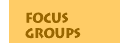 Focus Groups