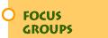 Focus Groups