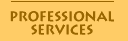 Professional Services