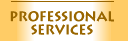 Professional Services